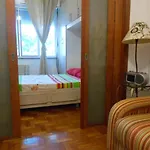 Catete 801
